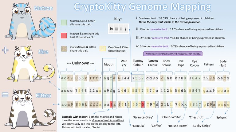 kitties_genome_only.jpg