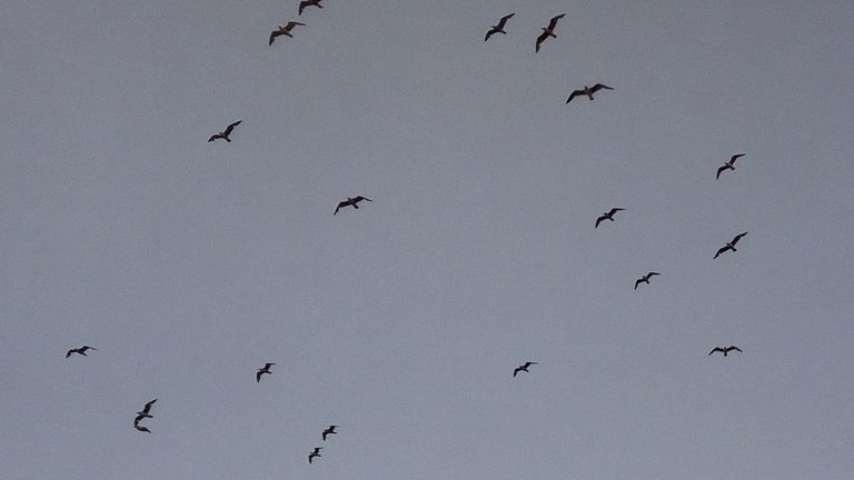 IMG_20180603_205816.jpg