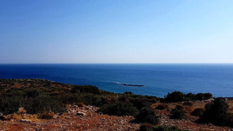 20180817_090759.jpg
