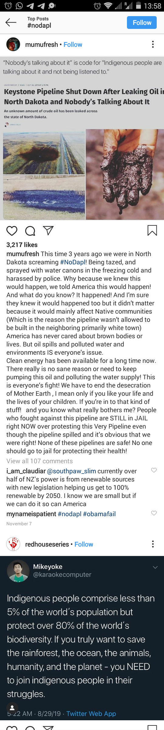 nodapl-instagram-feed.png