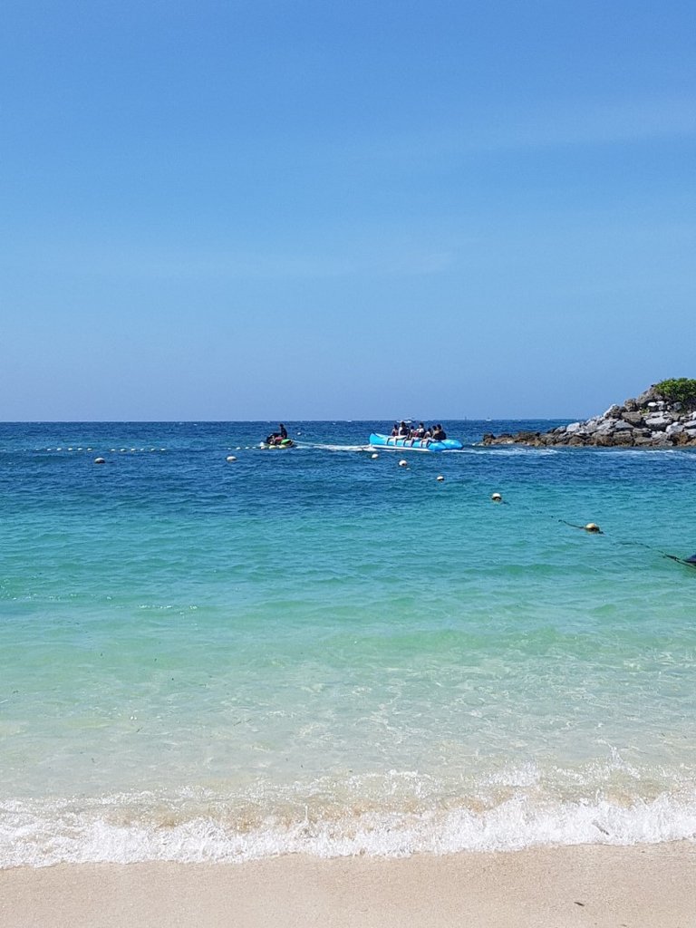 20180610_150200.jpg