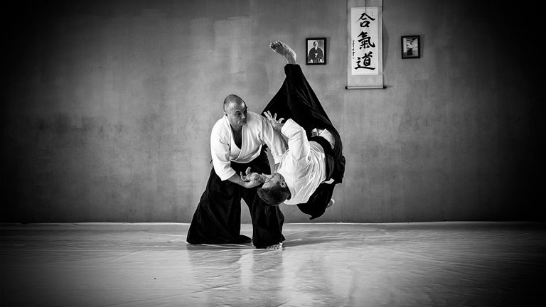 aikido_desktop_wallpaper_13.jpg