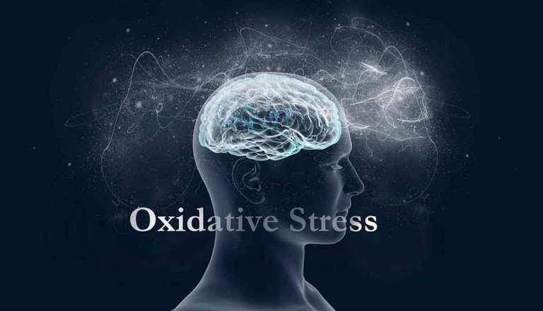 oxidativestress.jpg