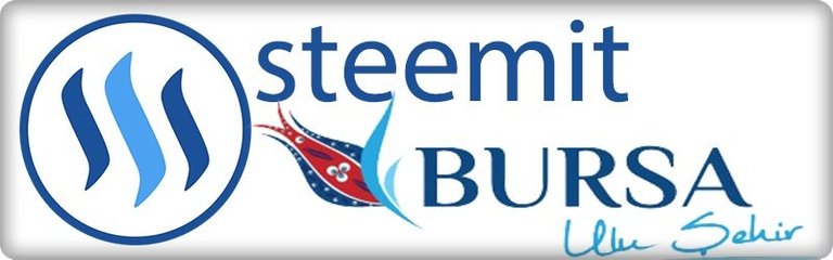 steemit bursa logo.jpg