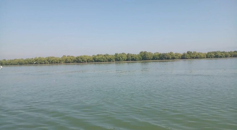 20191227_202033.jpg