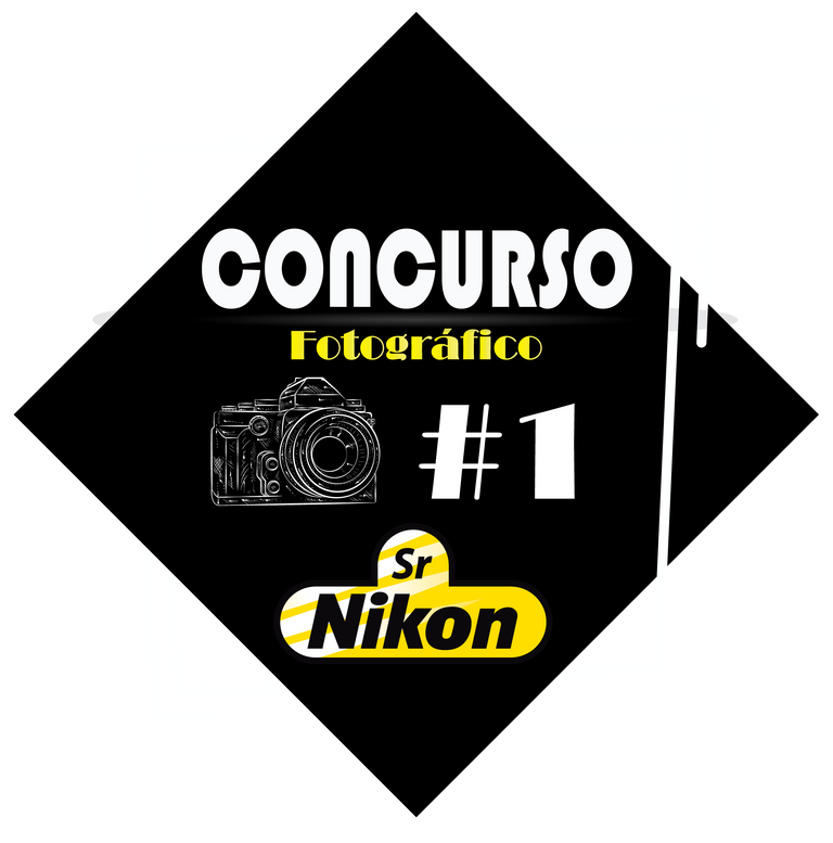 concurso-6.png