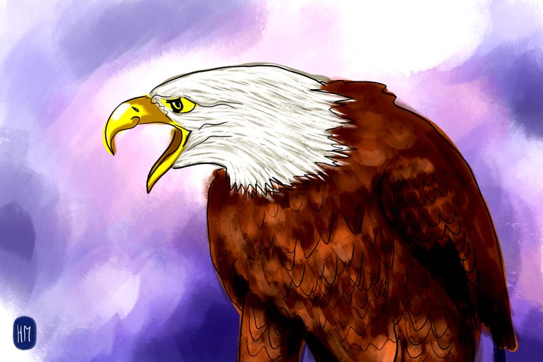 eagle(345).jpg