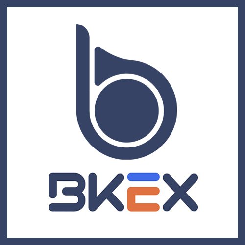 BKEX.jpg