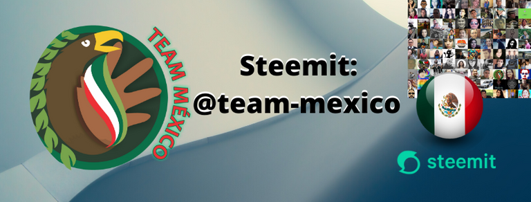 Steemit_ @team-mexico.png