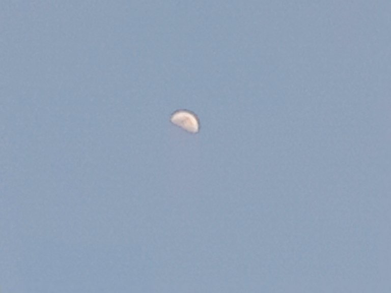 20230129_170829.jpg