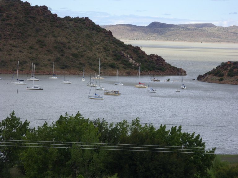 SDC11124.JPG