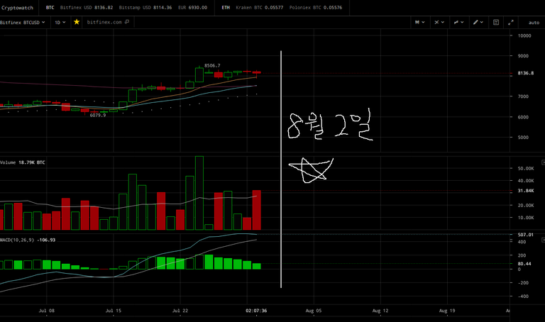20180731_해외비트코인_1D.png