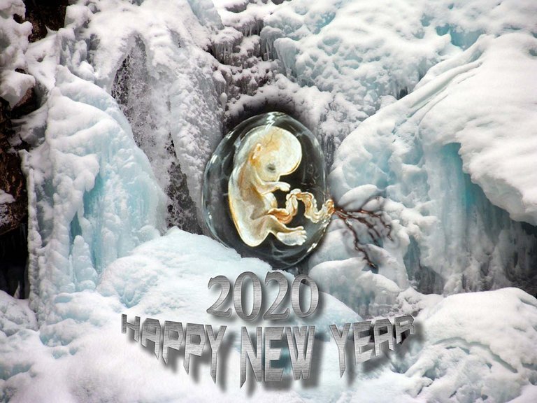 SH109401ps-small-baby in ice-happy new year-2020web.jpg
