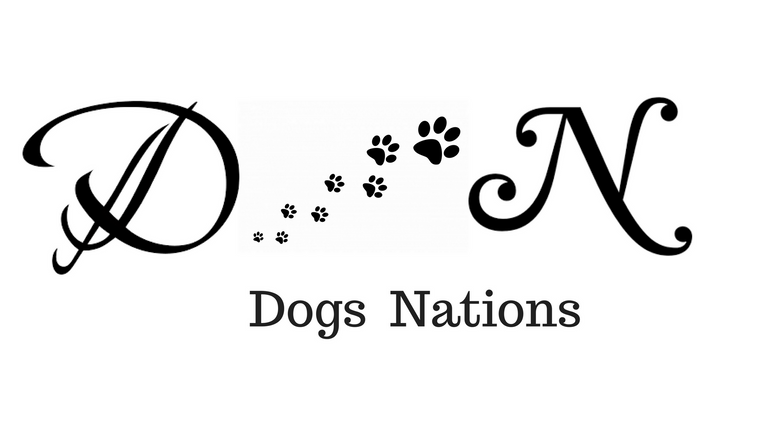 Dogs nations youtube.png