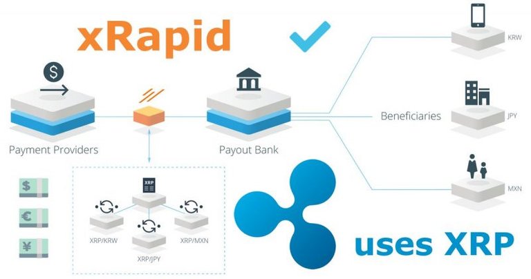 Ripple-xRapid-platform-800x421.jpg