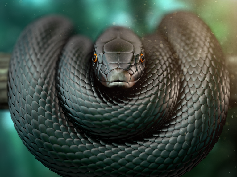 6015932-black-mamba.png