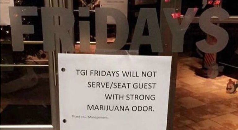 no-weed-fridays.jpeg