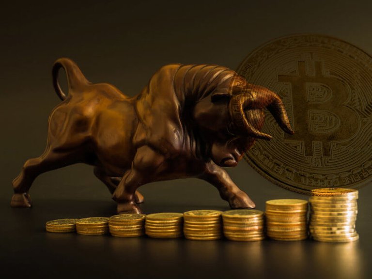 shutterstock_1063376348-bitcoin-bull-800x600.jpg