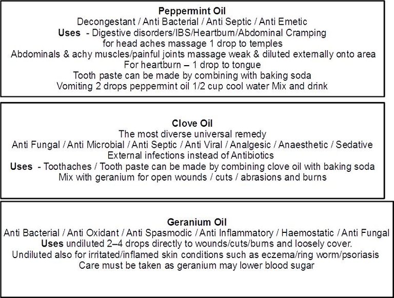 PREPPER ESSENTIAL OIL LABELS 3-PVUK.jpg