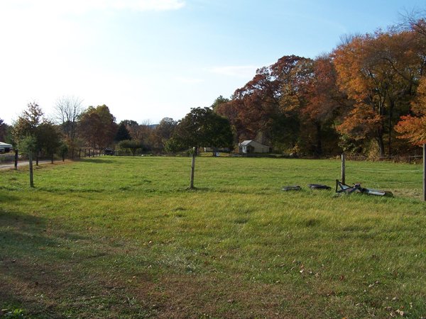 Middle pasture2 crop Oct. 09.jpg