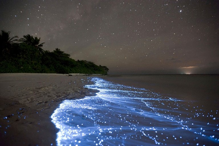 vaadhoo-maldives-bioluminescent-beach.jpg