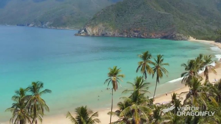 playa grande choroni.jpg