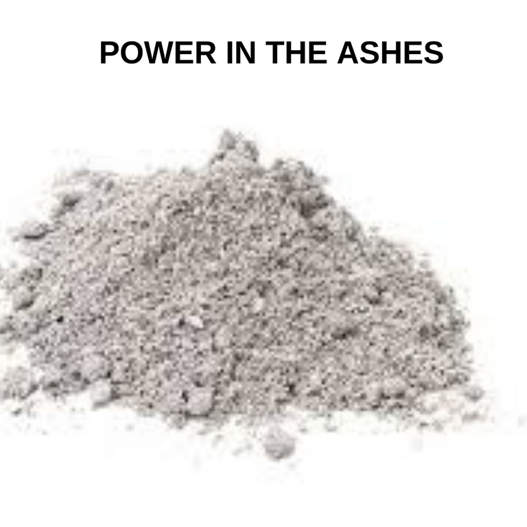 POWER IN THE ASHES.png