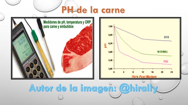 ph de la carne.jpg