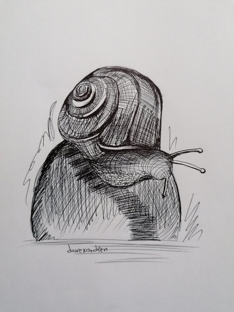 snail pen (3).jpg