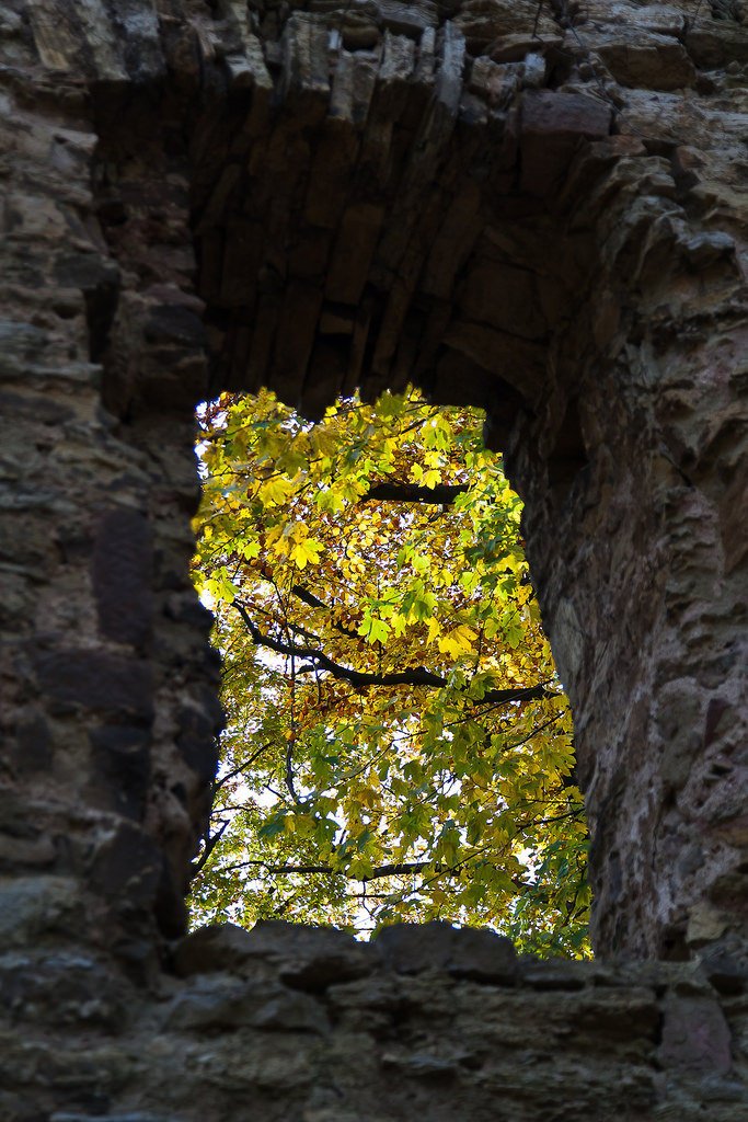 10489099735-ruins-of-altenstein-castle-thuringia (FILEminimizer).jpg