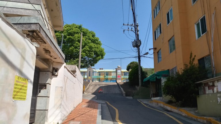 20180421_101440_HDR.jpg