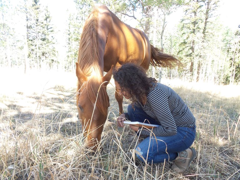 Chiara and Rosie Communing during Acupressure Session Juen 2018.jpg