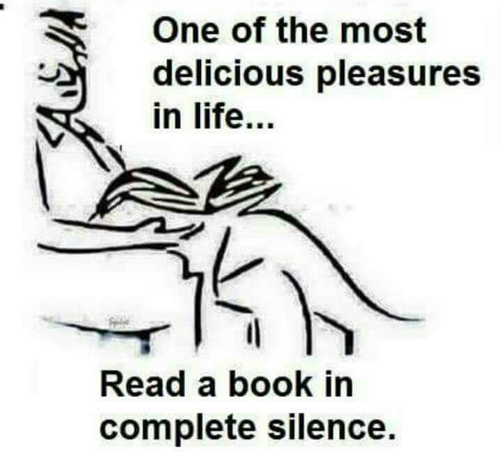 rgQwSRE.jpg