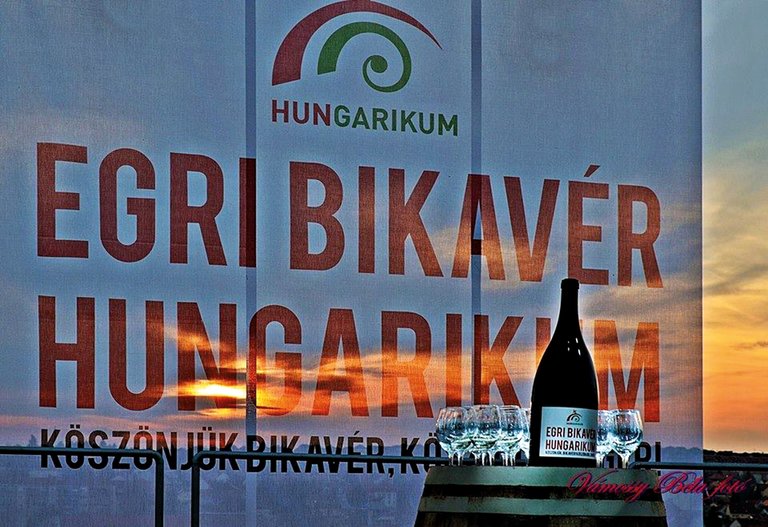 Bikavér-hungarikum.jpg