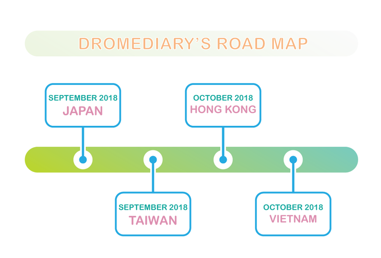 infografica-roadmap2018-Dromediary