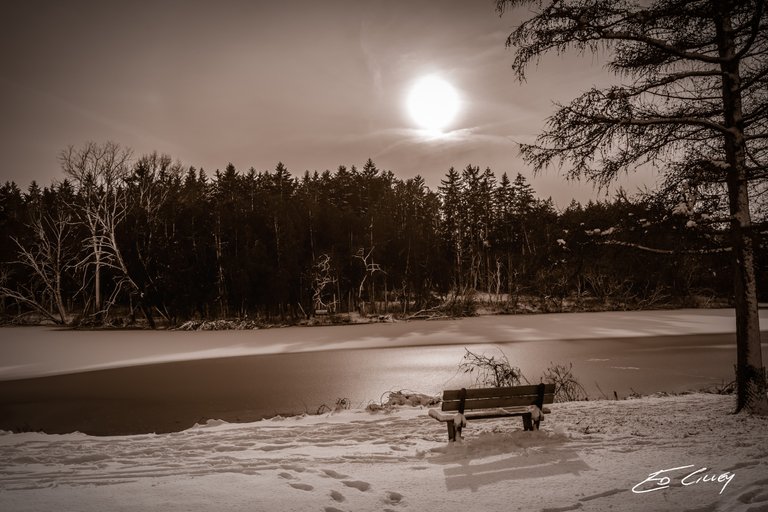 Arboretum_s-00954_Marmo Bench_sepia-signed.jpg