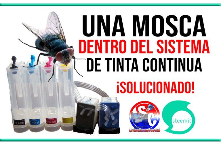 UNA MOSCA DENTRO DEL SISTEMA STEEMIT.jpg