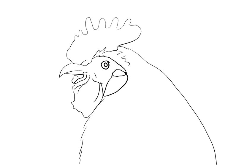 rooster(564).jpg