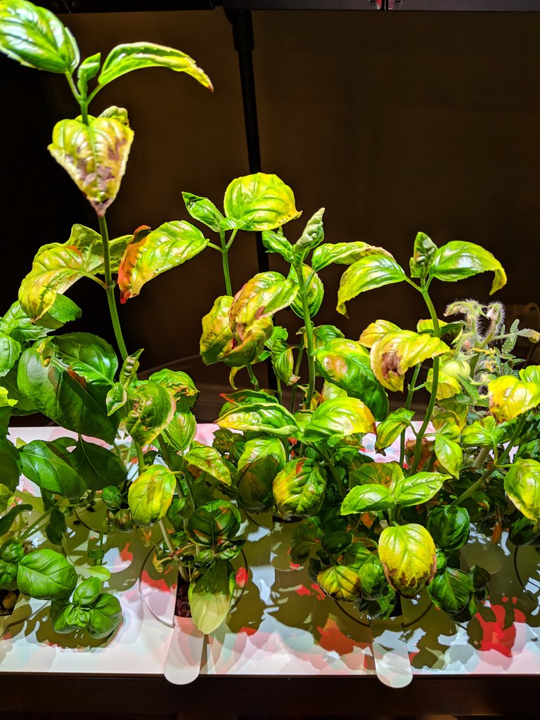 IMG_20181210_235152.jpg