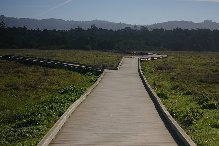 california park.jpg