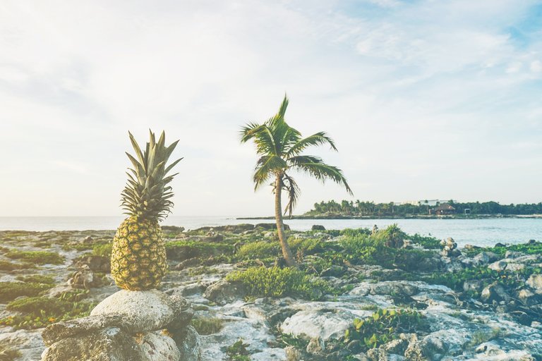 beach-1850818_1280.jpg