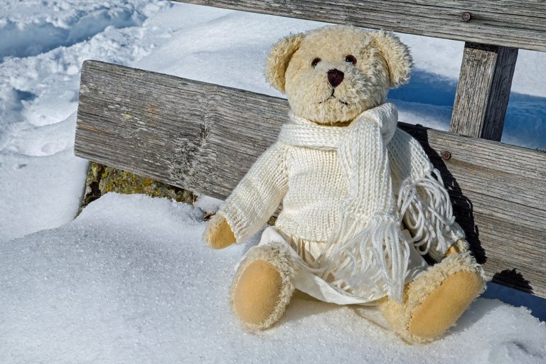 teddy_plush_bears_sitting_verschneiter_bank_sun_winter-1186840.jpg