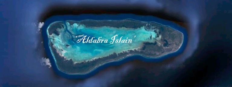 Aldabra.jpg