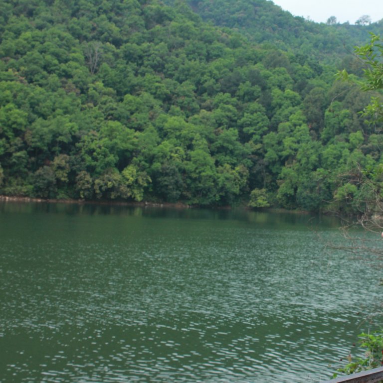 Beautiful_Phewa_Lake.jpg