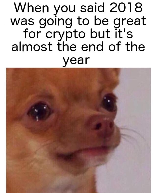 funny-dank-meme-sad-doggo.jpg