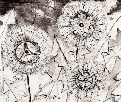 Dandelion ClocksTH.jpg