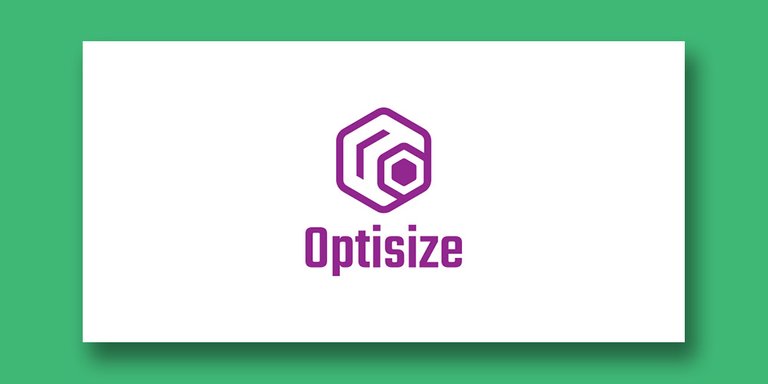 LOGO DESIGN_OPTISIZE PRESENTATION_4.jpg