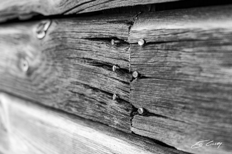 Barn_s-01097_Barn Wood and Nails-B&W.jpg