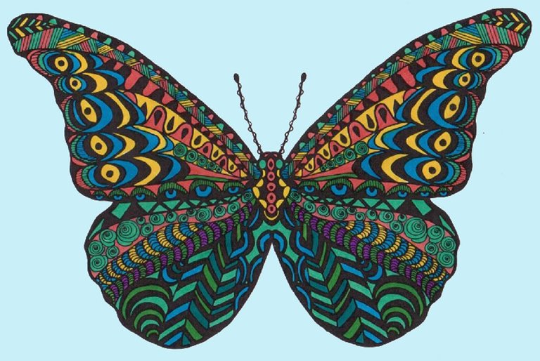 Butterfly 6.jpg