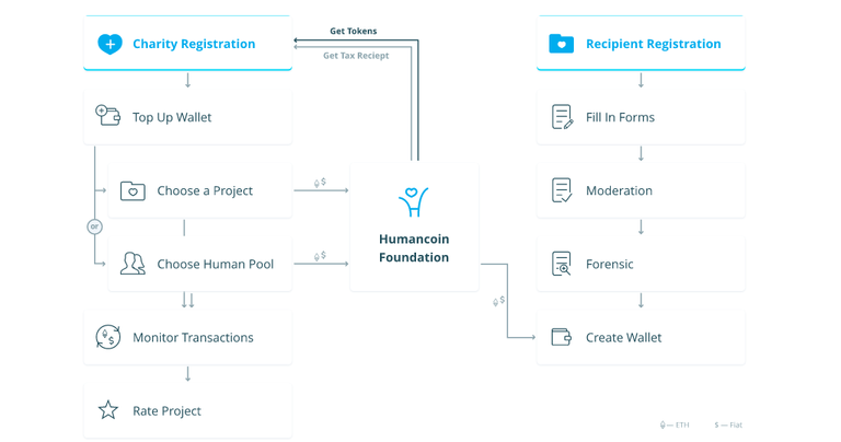 humancoin work.png